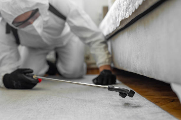 Professional Termite Control technician working in California, MO