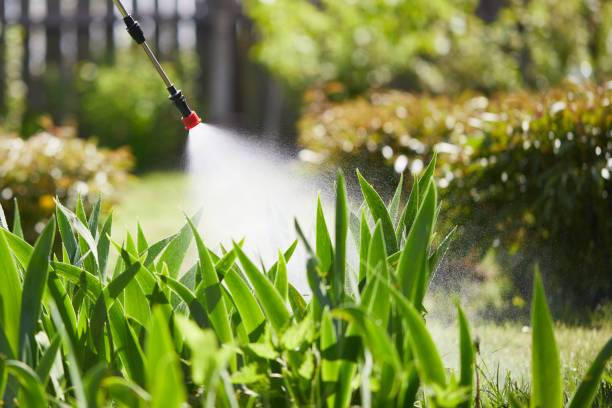 24/7 Emergency Termite Control experts in California, MO