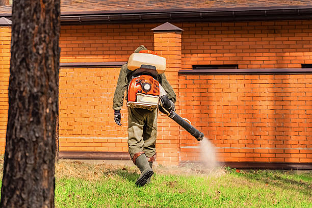Top rated local Termite Control specialists in California, MO